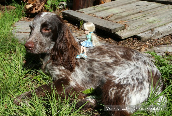 Незапланированные выходные. День первый