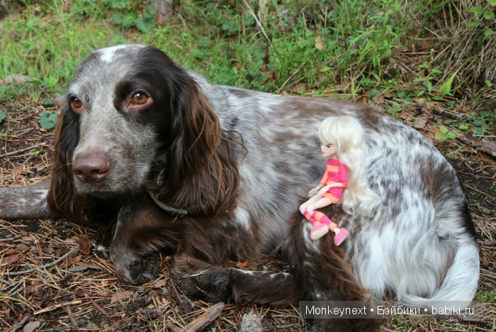 Незапланированные выходные. День первый
