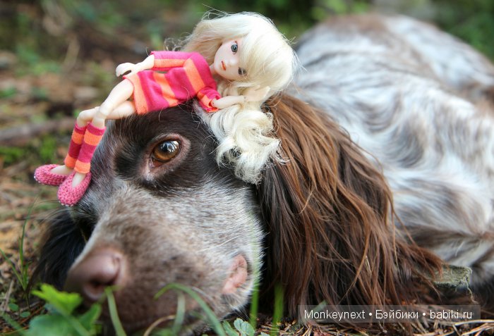 Незапланированные выходные. День первый