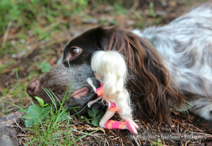 Незапланированные выходные. День первый
