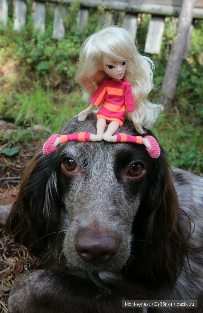 Незапланированные выходные. День первый