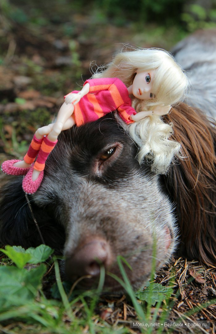 Незапланированные выходные. День первый