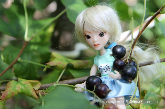 Незапланированные выходные. День первый (фото 4)