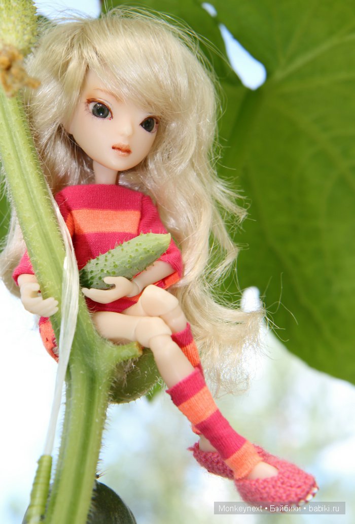 Незапланированные выходные. День первый