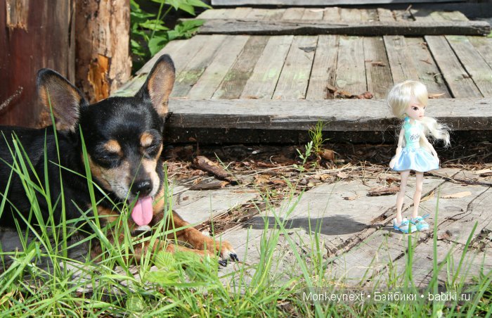 Незапланированные выходные. День первый