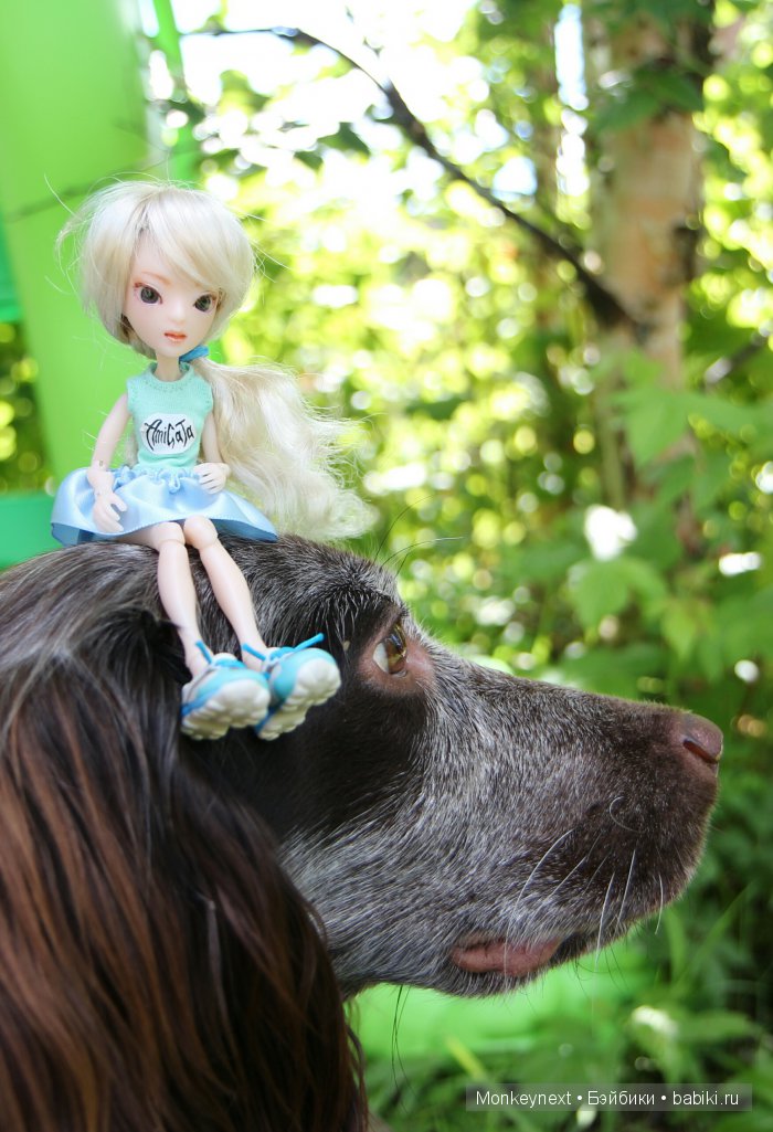 Незапланированные выходные. День первый