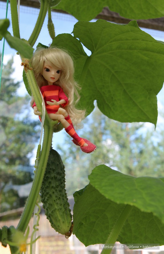 Незапланированные выходные. День первый