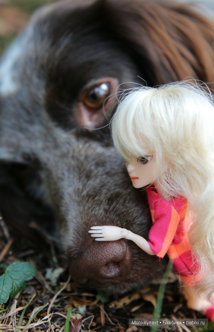 Незапланированные выходные. День первый