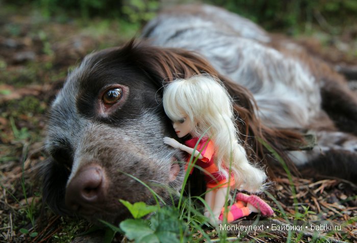 Незапланированные выходные. День первый