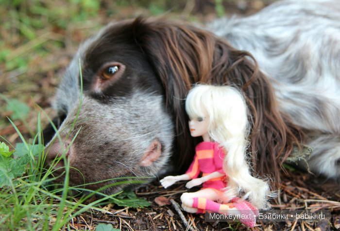 Незапланированные выходные. День первый