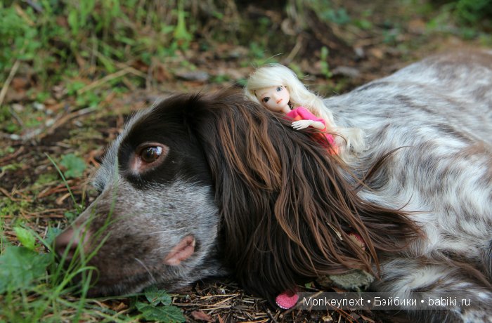 Незапланированные выходные. День первый
