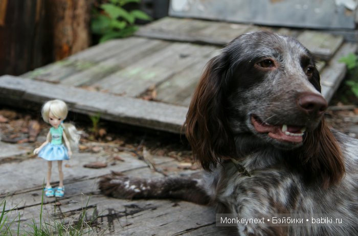 Незапланированные выходные. День первый