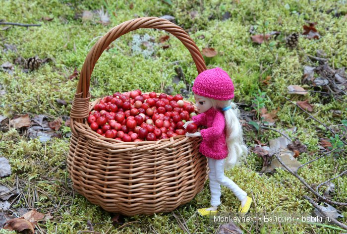 Незапланированные выходные. День третий (фото 4)