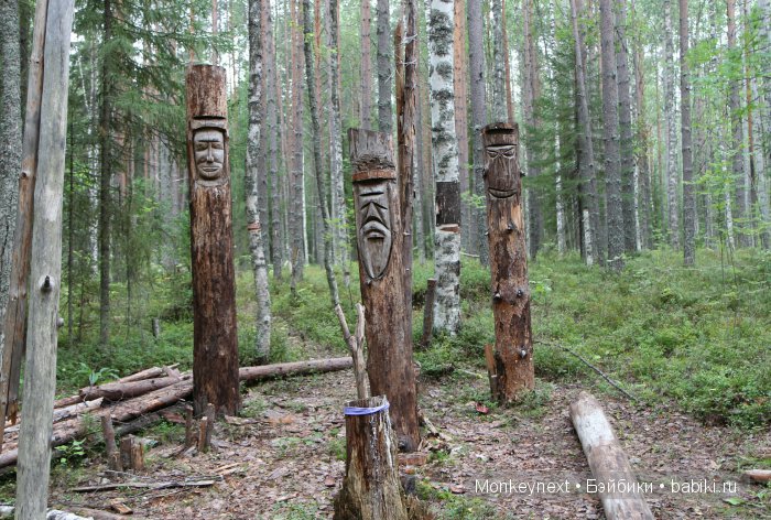 Незапланированные выходные. День третий