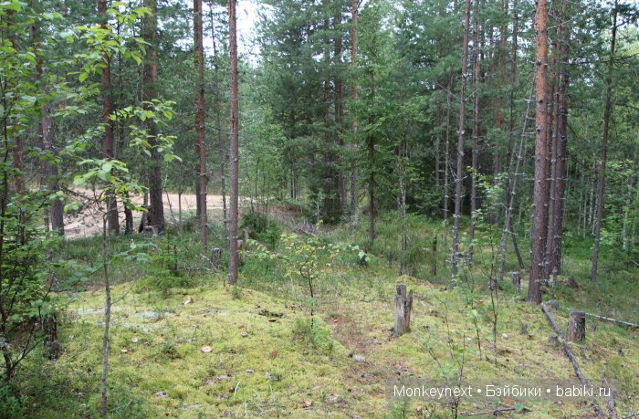 Незапланированные выходные. День третий (фото 8)