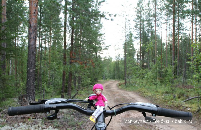 Незапланированные выходные. День третий