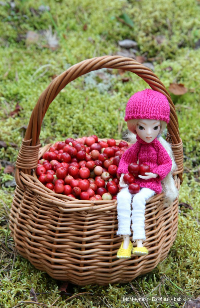 Незапланированные выходные. День третий (фото 6)