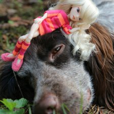 Незапланированные выходные. День первый