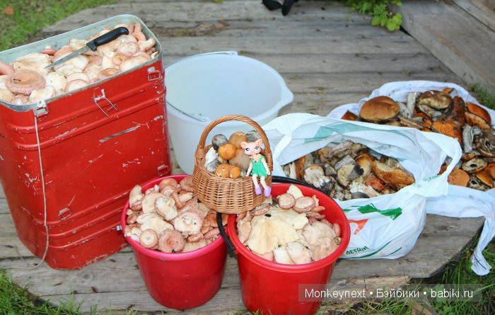 Первые выходные с Веней — Гибриды шарнирных кукол (не БЖД): подбор тела