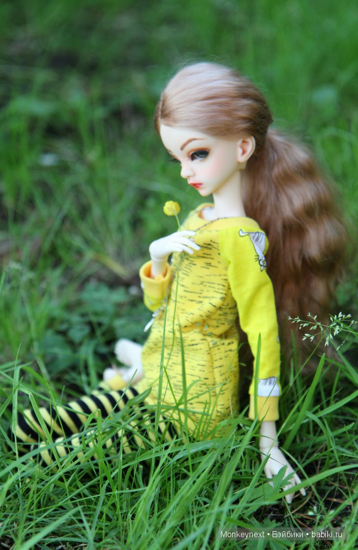 Знакомство с Белкой — Куклы Doll Chateau (Доллшато): BJD (БЖД) (фото 2)