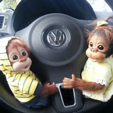 Мои шалунишки Василек и Ромашка ( Monkeys by Ashton Drake).