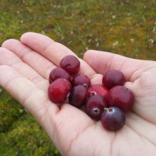 По болотам с позитивом