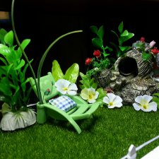 Зимний сад на крыше