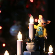 Венечка и елка