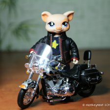 Сбылась мечта - теперь Веня - байкер