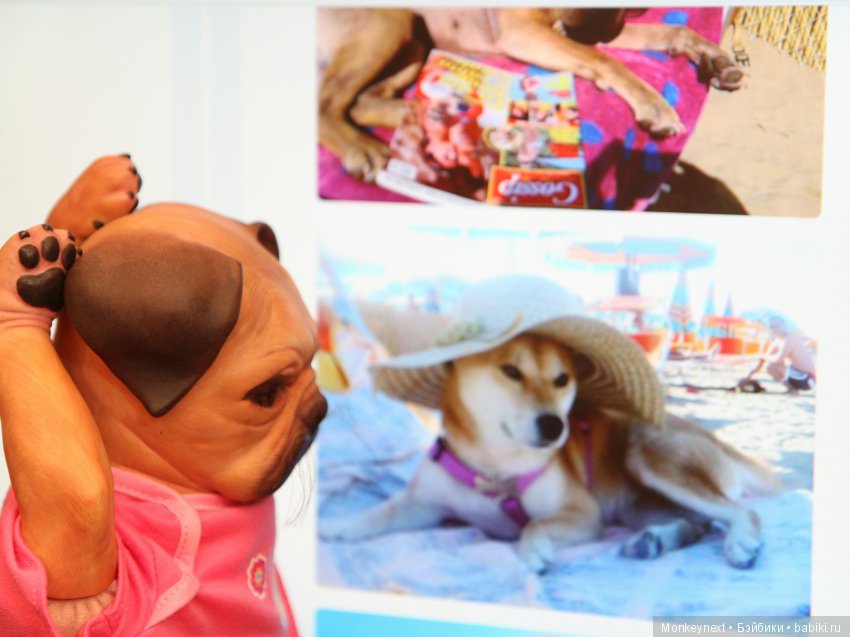 Заговорщики — Гибриды шарнирных кукол (не БЖД): подбор тела