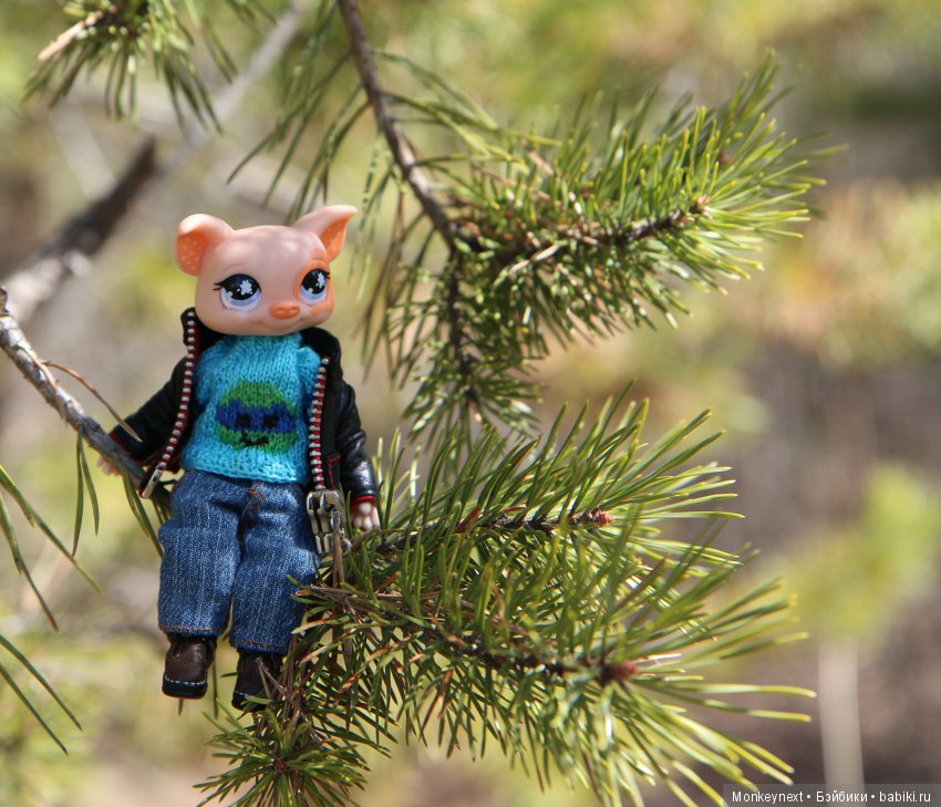 Одним солнечным теплым утром (фото 9)