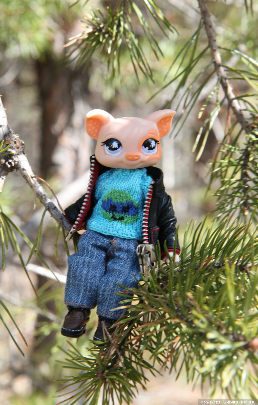 Одним солнечным теплым утром (фото 6)