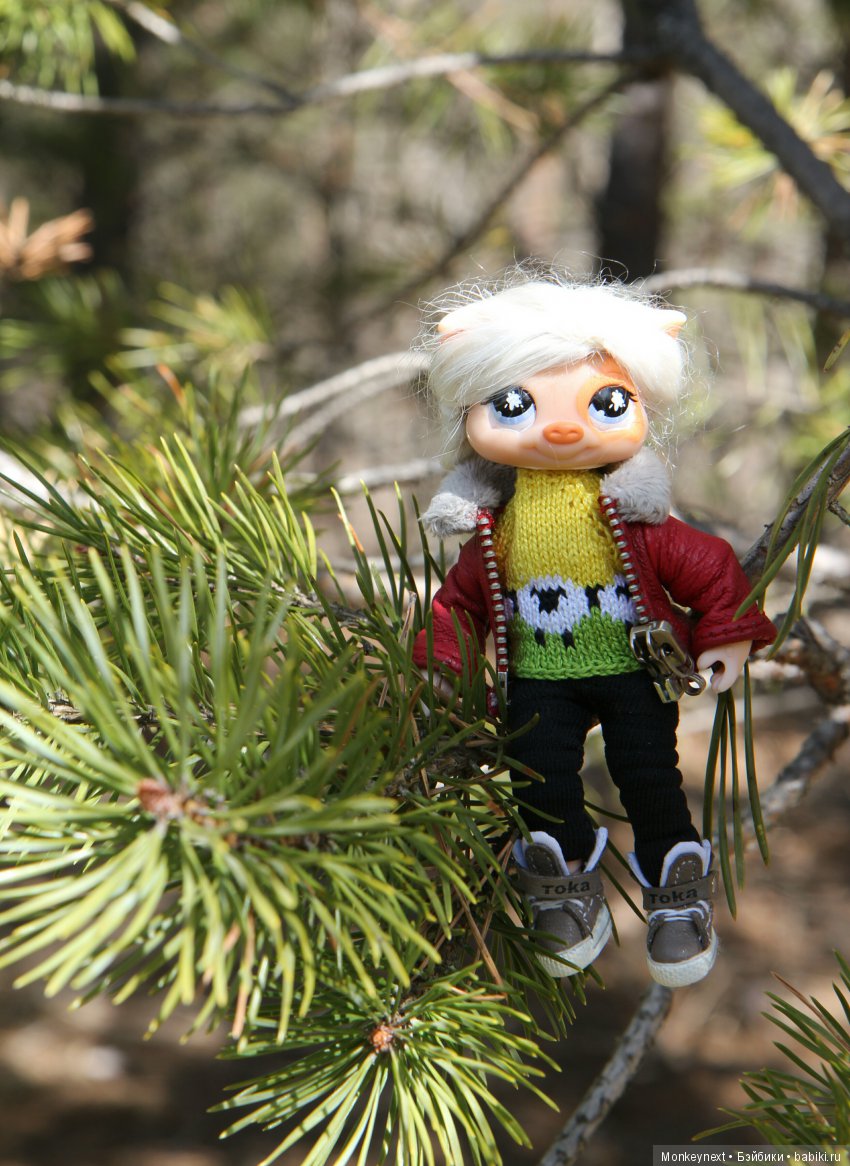 Одним солнечным теплым утром (фото 10)