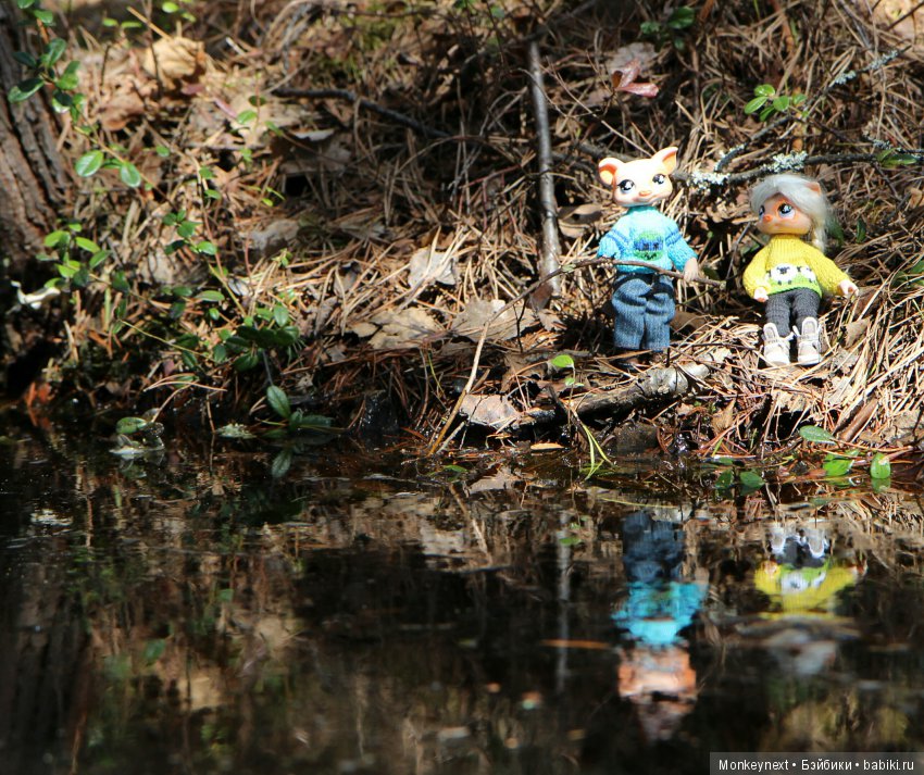 Одним солнечным теплым утром