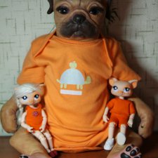 Чемоданно-оранжевое настроение