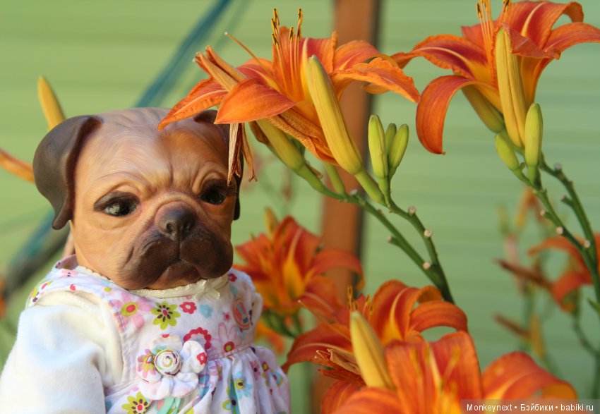 Кимико вернулась с поездки на море (фото 5)