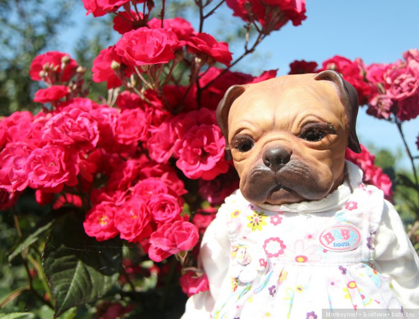 Кимико вернулась с поездки на море (фото 6)