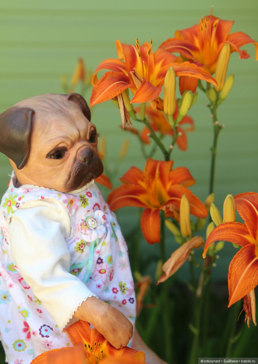 Кимико вернулась с поездки на море (фото 4)