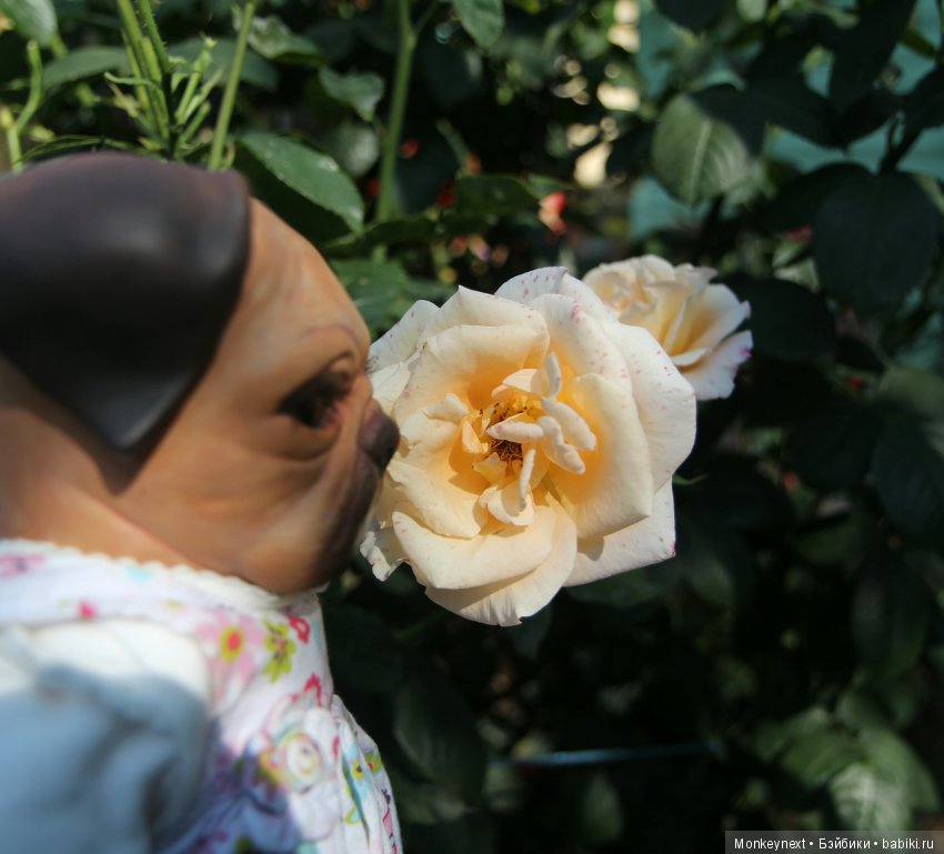 Кимико вернулась с поездки на море (фото 7)