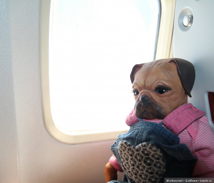 Кимико вернулась с поездки на море (фото 2)