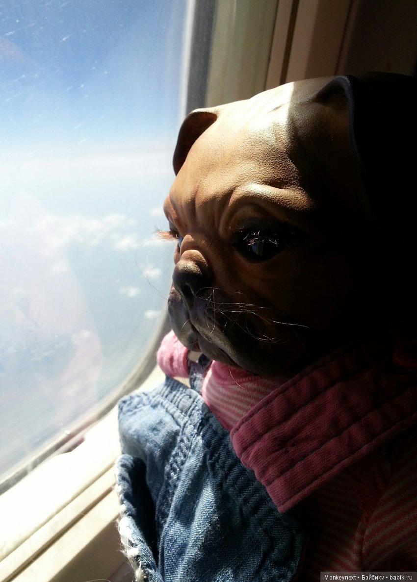 Кимико вернулась с поездки на море (фото 3)