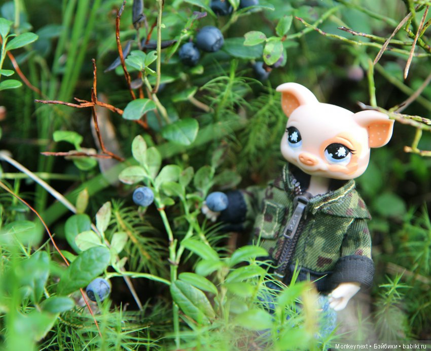 На даче. Часть 3. Веня, Варя делают запасы на зиму