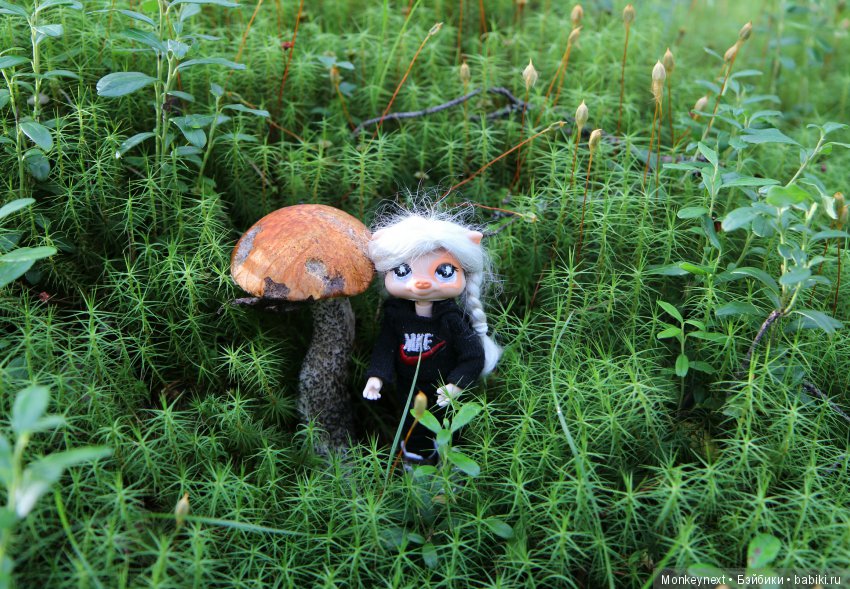 На даче. Часть 3. Веня, Варя делают запасы на зиму