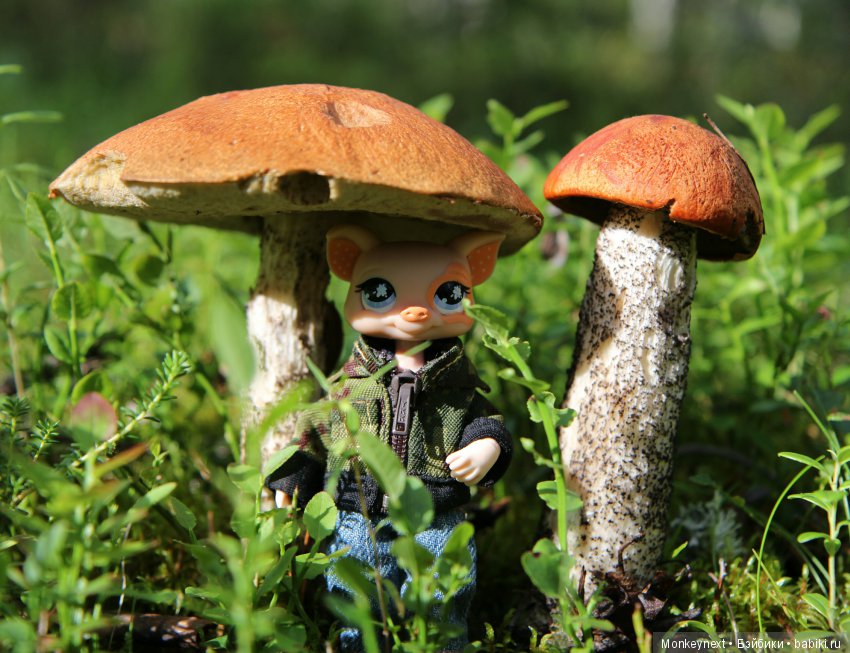 На даче. Часть 3. Веня, Варя делают запасы на зиму