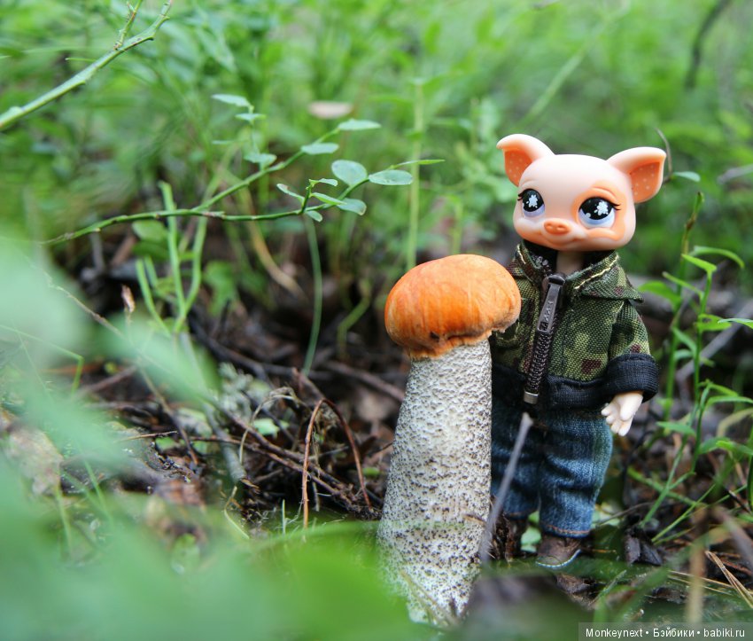 На даче. Часть 3. Веня, Варя делают запасы на зиму (фото 5)