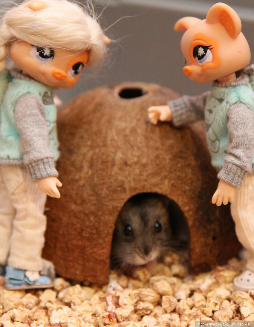 Страшный зверь в дюне — Гибриды шарнирных кукол (не БЖД): подбор тела