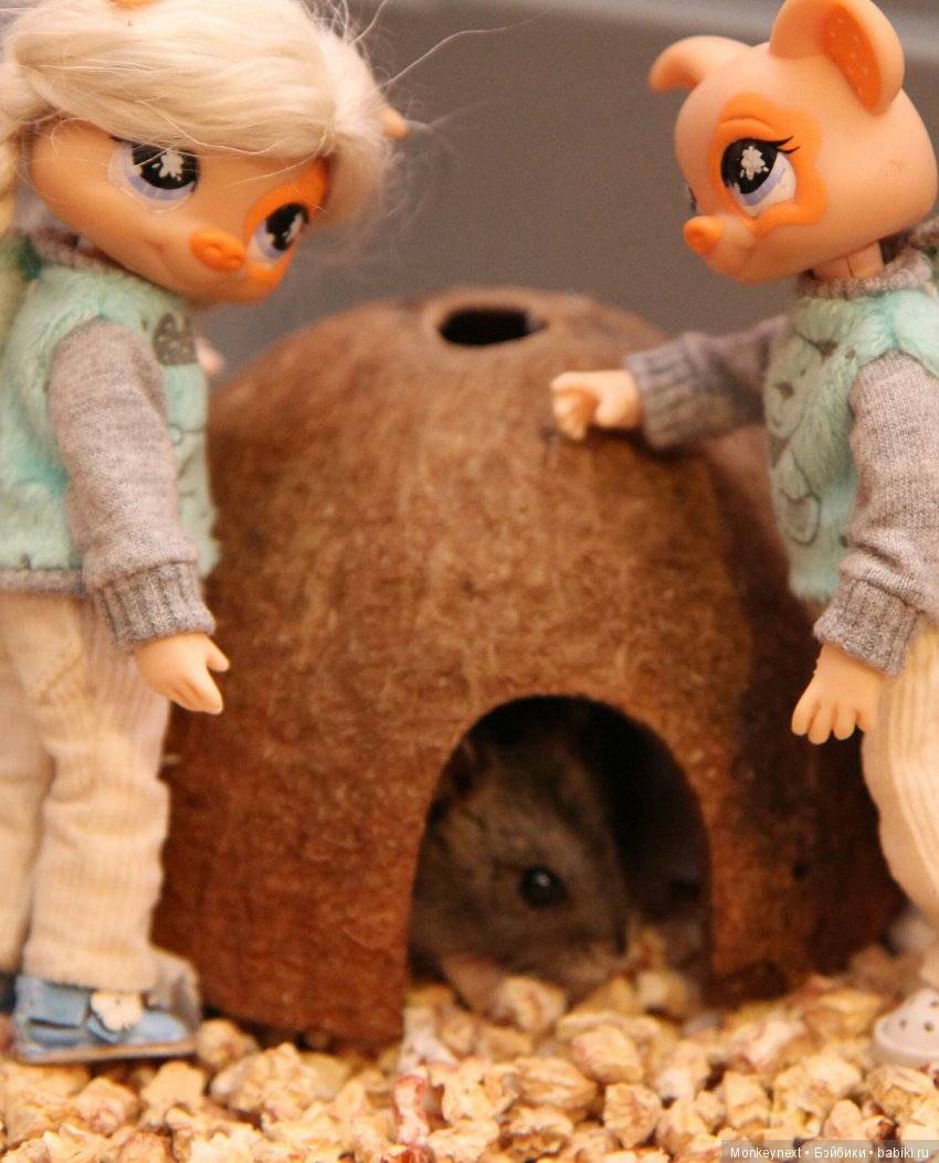 Страшный зверь в дюне — Гибриды шарнирных кукол (не БЖД): подбор тела