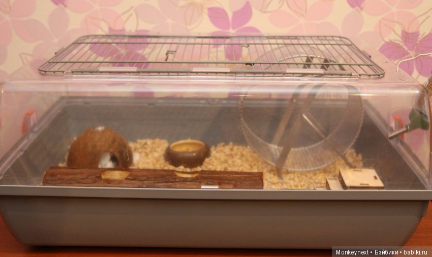 Страшный зверь в дюне — Гибриды шарнирных кукол (не БЖД): подбор тела