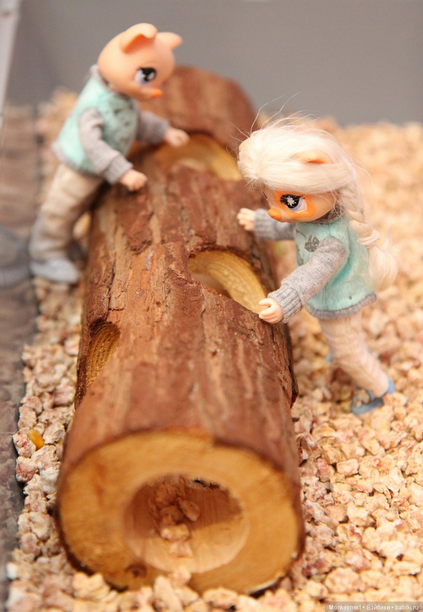 Страшный зверь в дюне — Гибриды шарнирных кукол (не БЖД): подбор тела (фото 8)