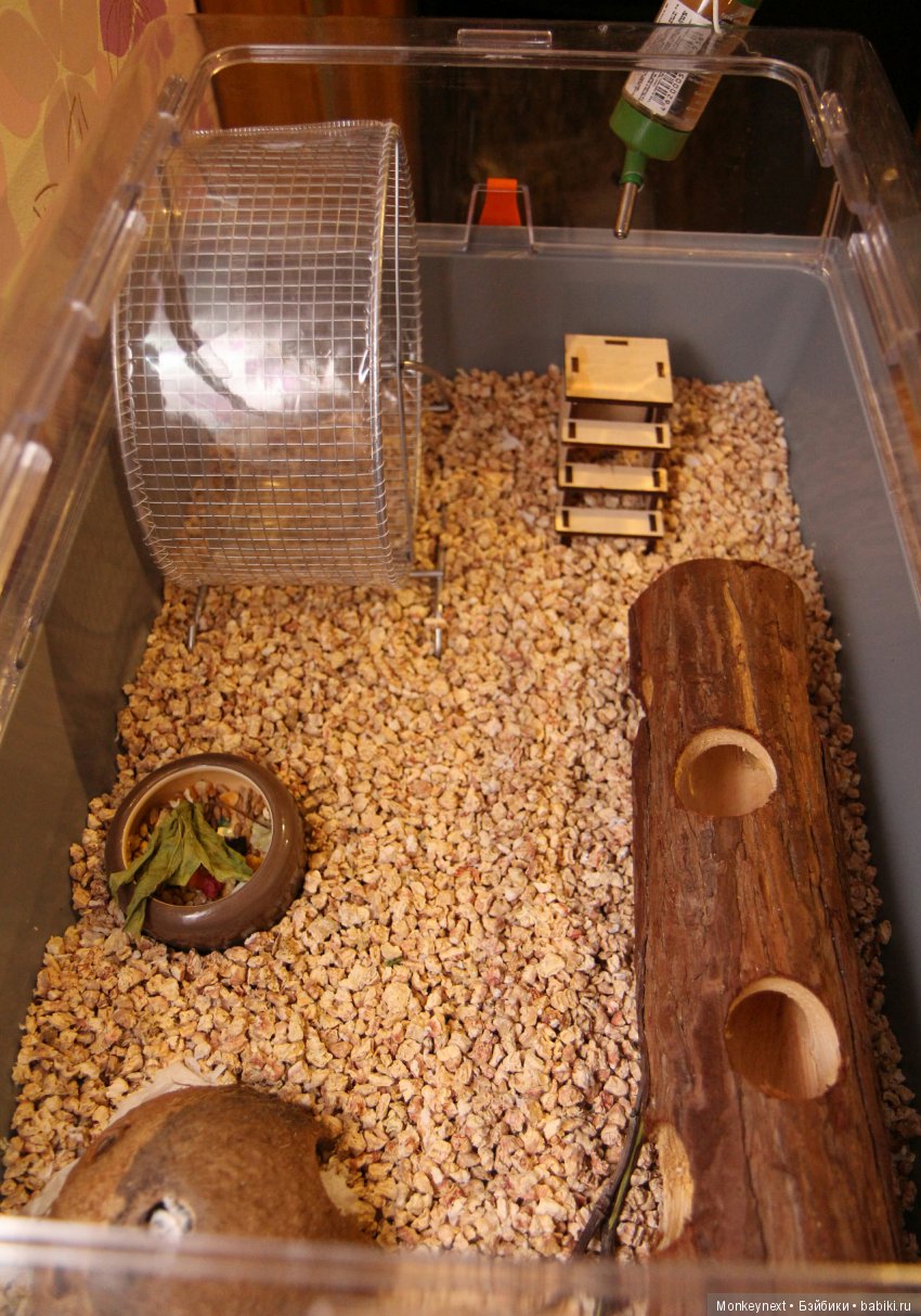 Страшный зверь в дюне — Гибриды шарнирных кукол (не БЖД): подбор тела